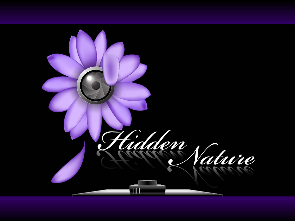 Hidden Nature